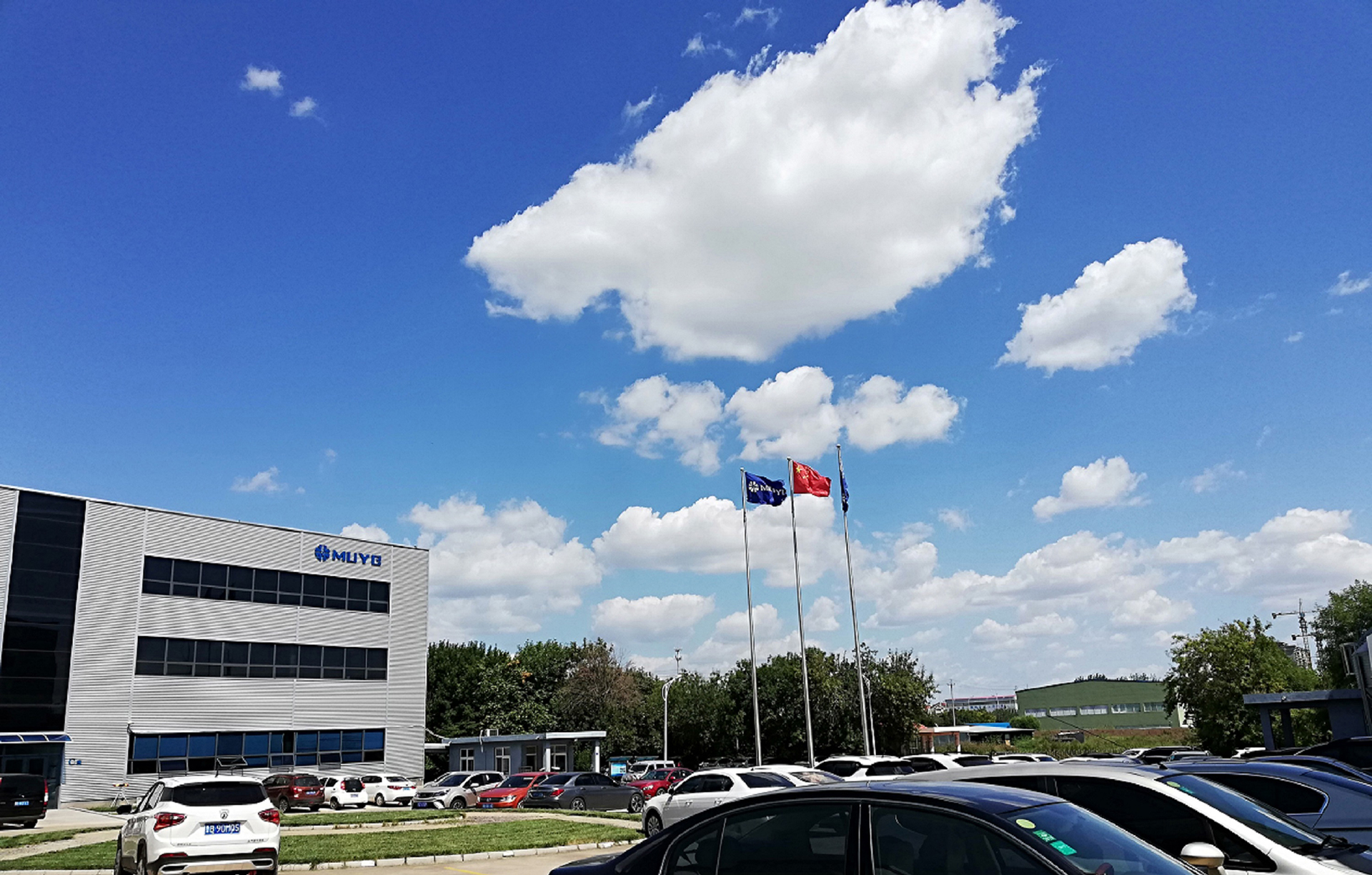 1550735681330914.jpg 藍天下的牧野.jpg